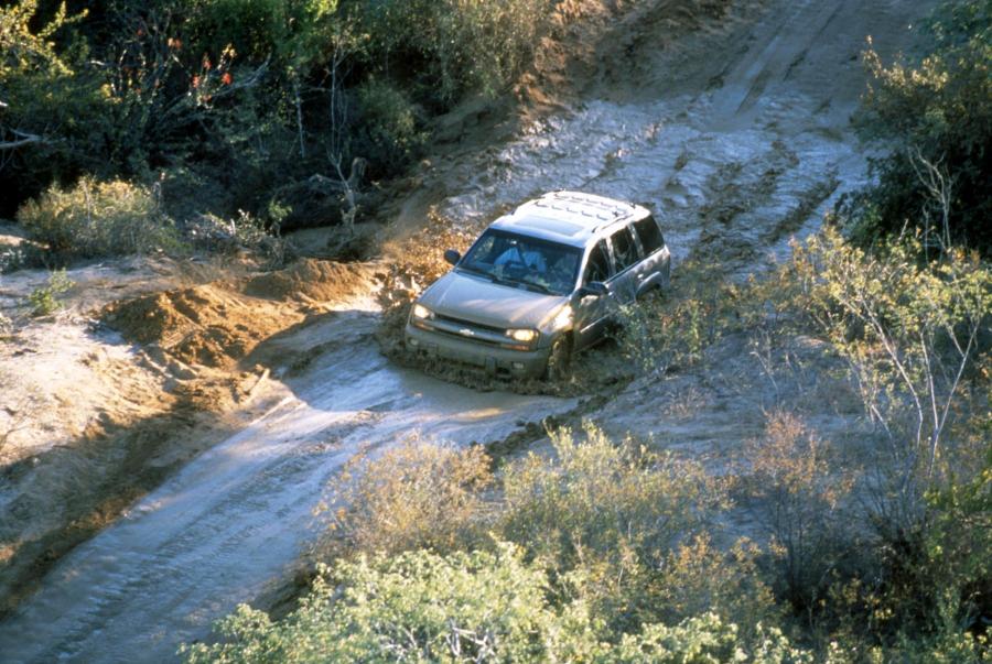  Chevrolet TrailBlazer 2002 года  (фото 57 из 77)